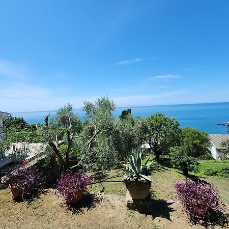 Apartment Ulcinj Luaran gambar