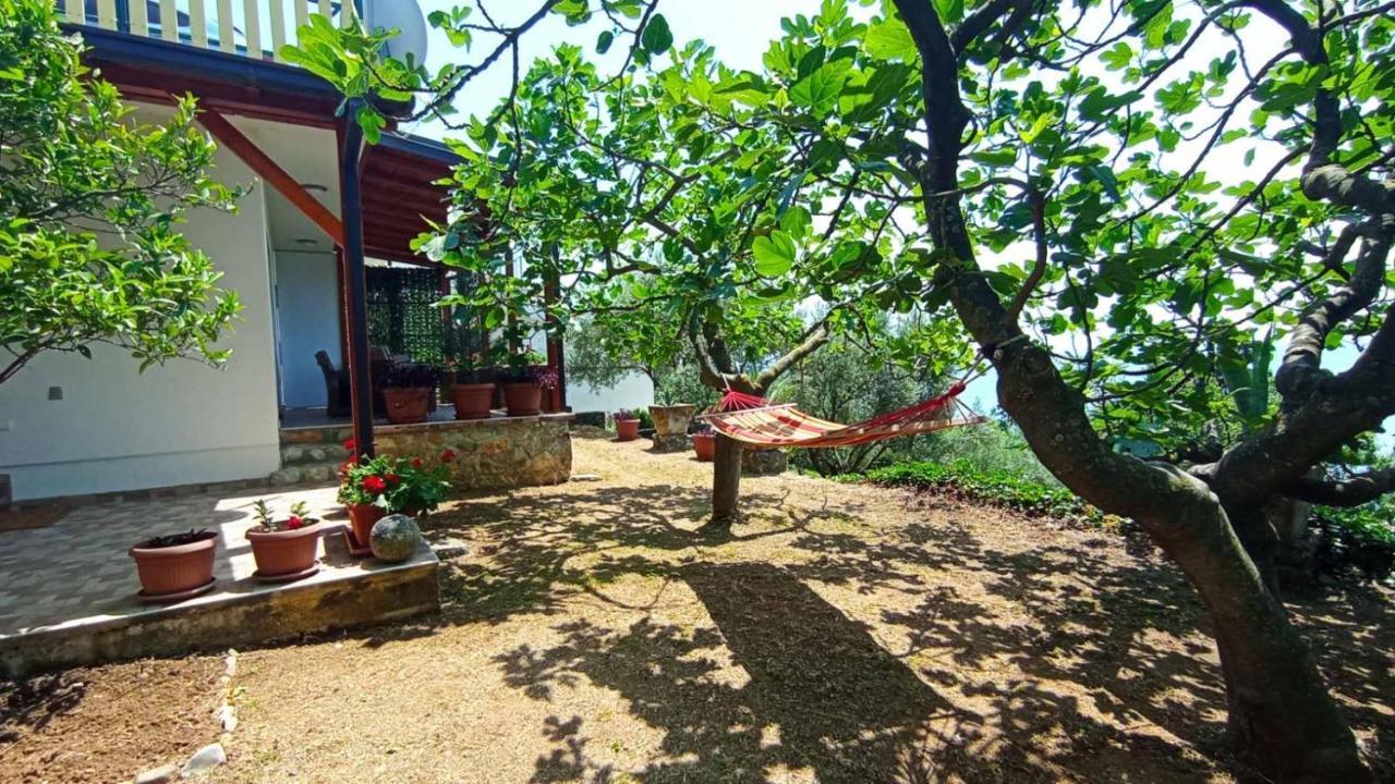 Apartment Ulcinj Luaran gambar